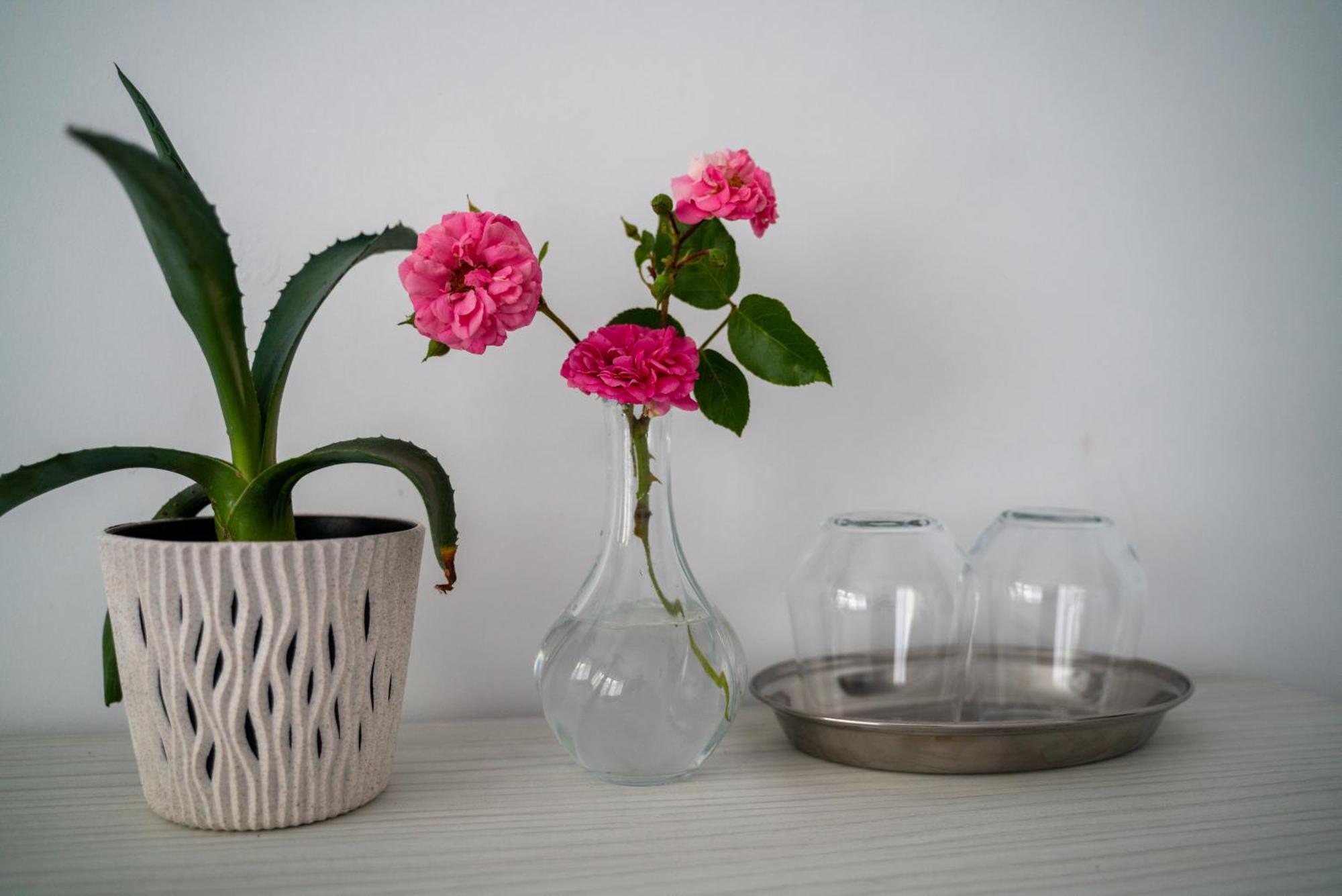 Din Natura Varbilau 外观 照片