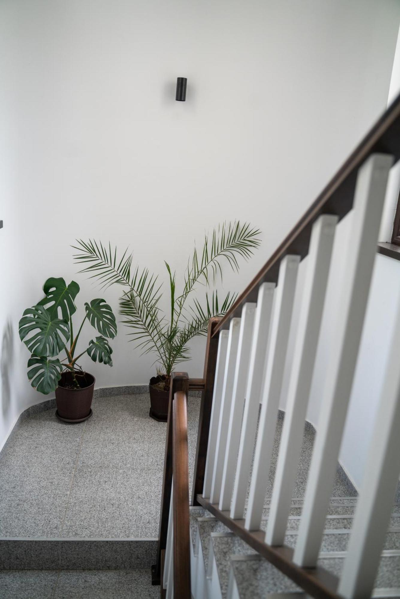 Din Natura Varbilau 外观 照片